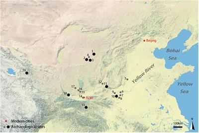 A passion for beef: Post-domestication changes in cattle body size in China from the Late Neolithic to the Late Bronze Age